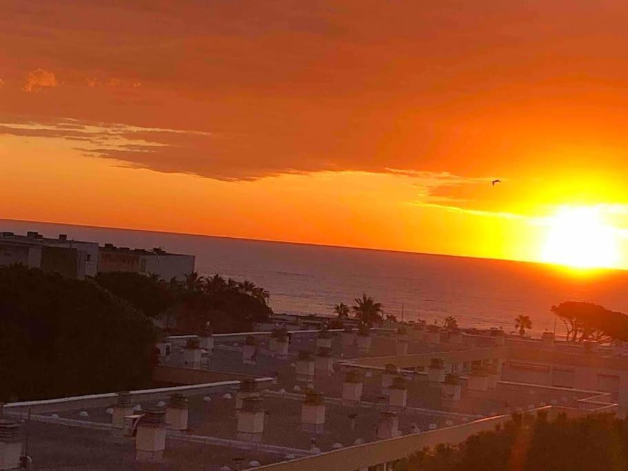 Appartement Vue Mer Au Lavandou Le Lavandou Eksteriør billede