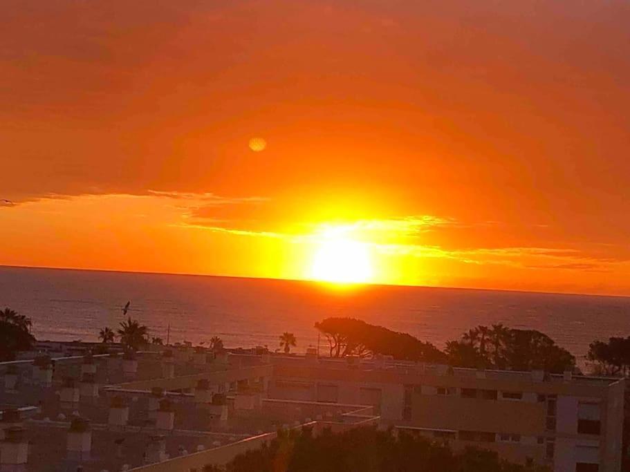 Appartement Vue Mer Au Lavandou Le Lavandou Eksteriør billede
