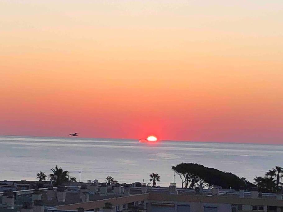 Appartement Vue Mer Au Lavandou Le Lavandou Eksteriør billede